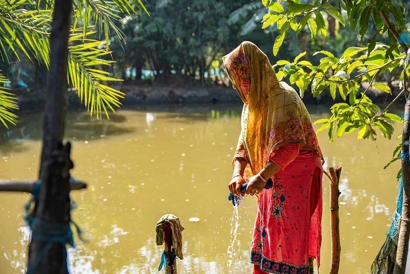 53459299356_8d15fdc8f7_c (1)