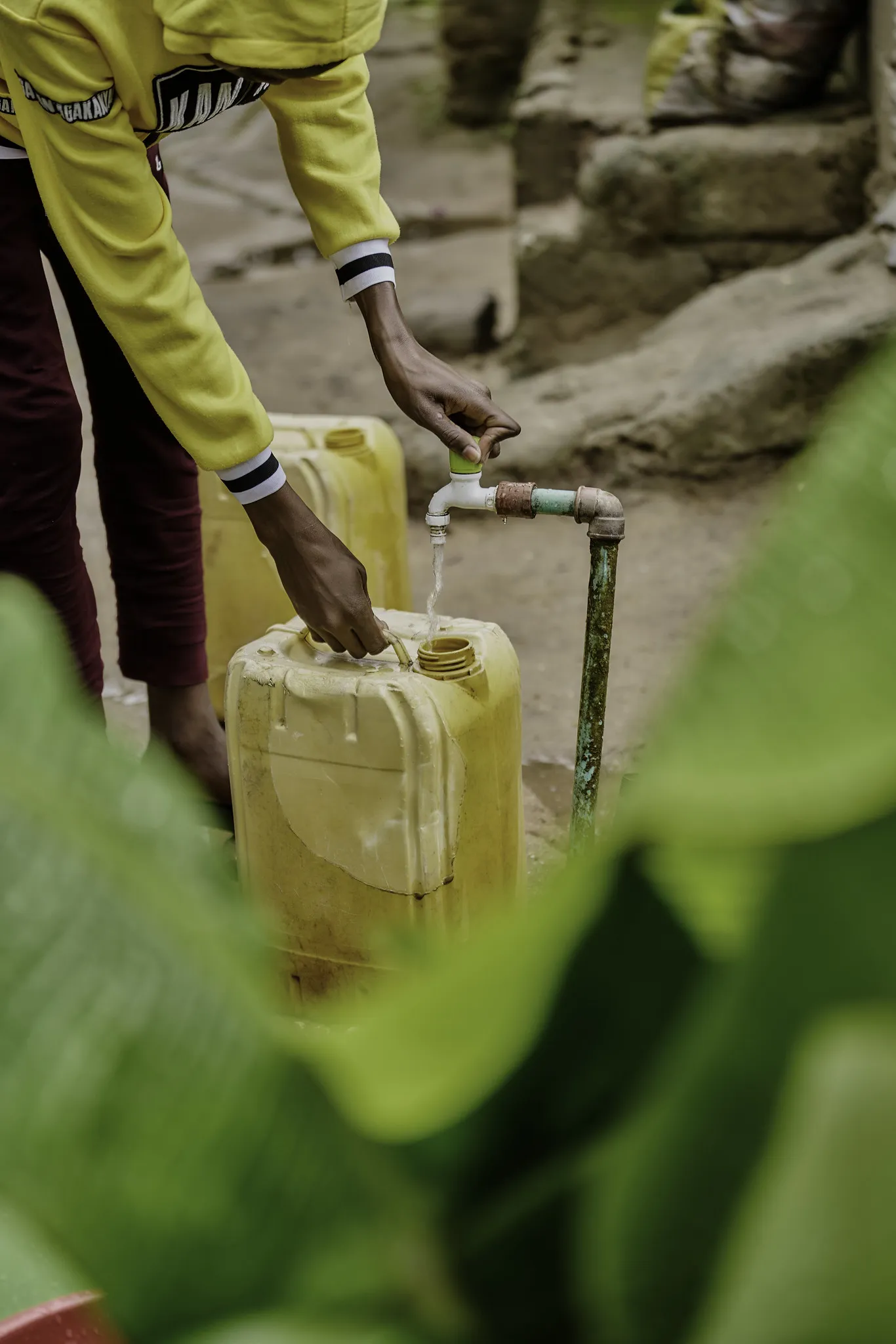 54820209506_43c3dc06d5_k