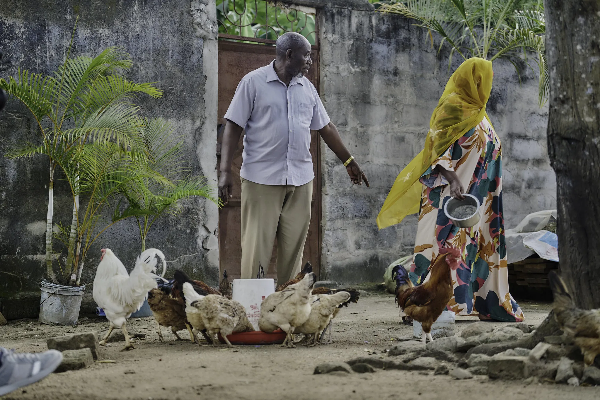 54820310978_760fb510ae_k