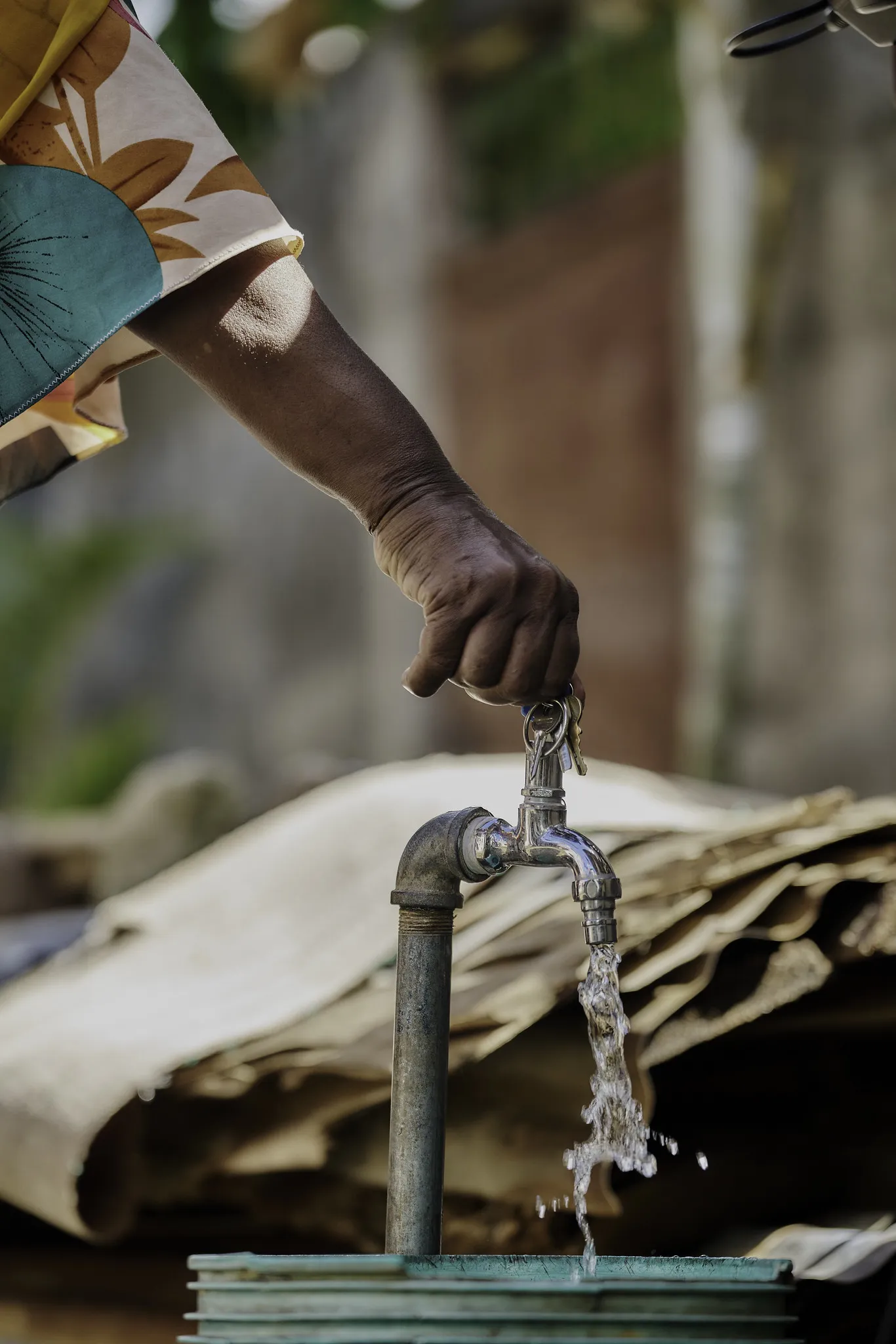 54820377835_b0adbe0065_k