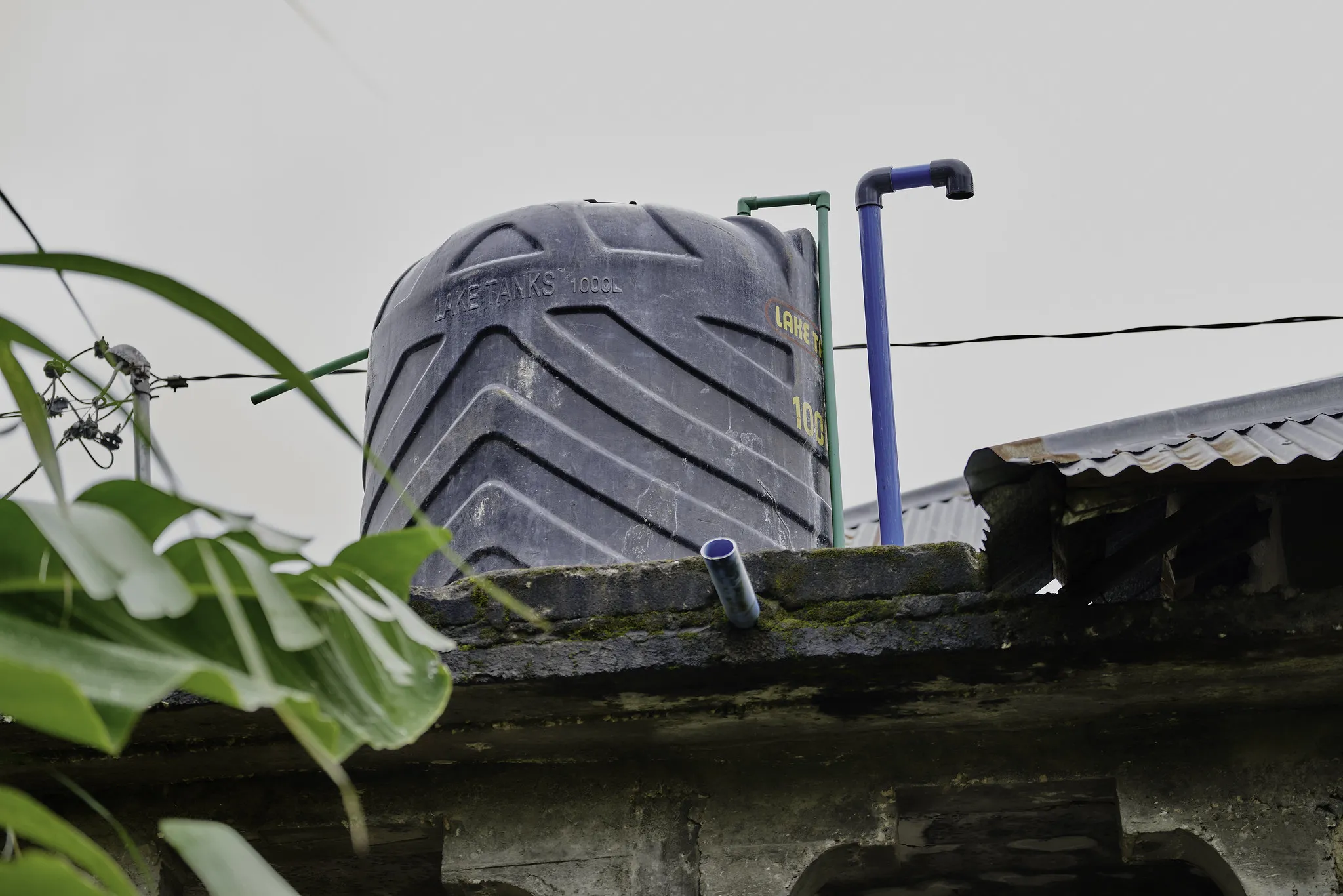 54820408479_b89617814e_k