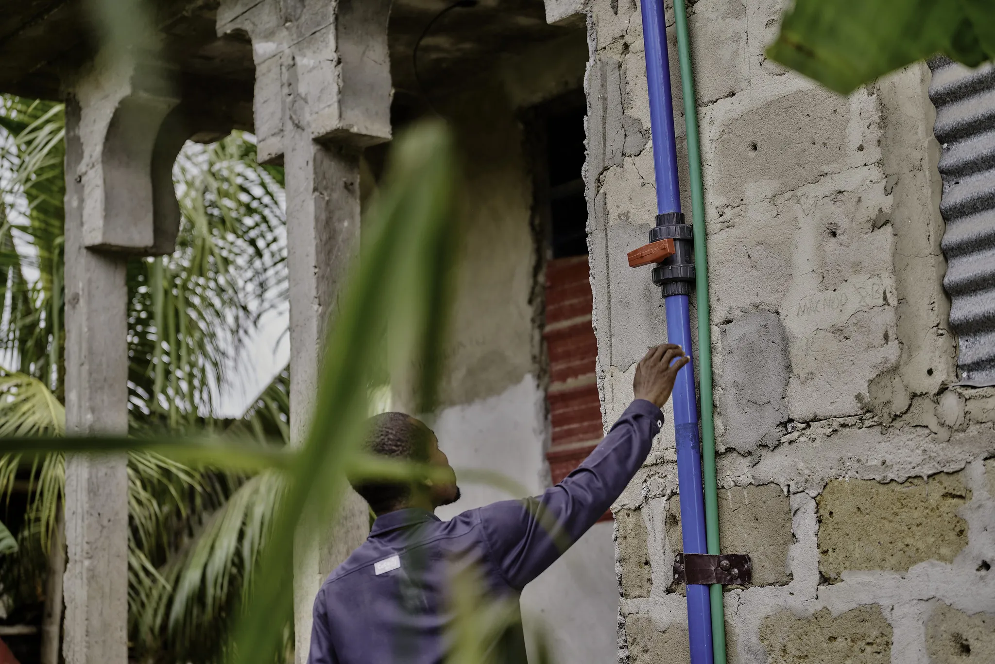 54820454444_c5e7cb70af_k