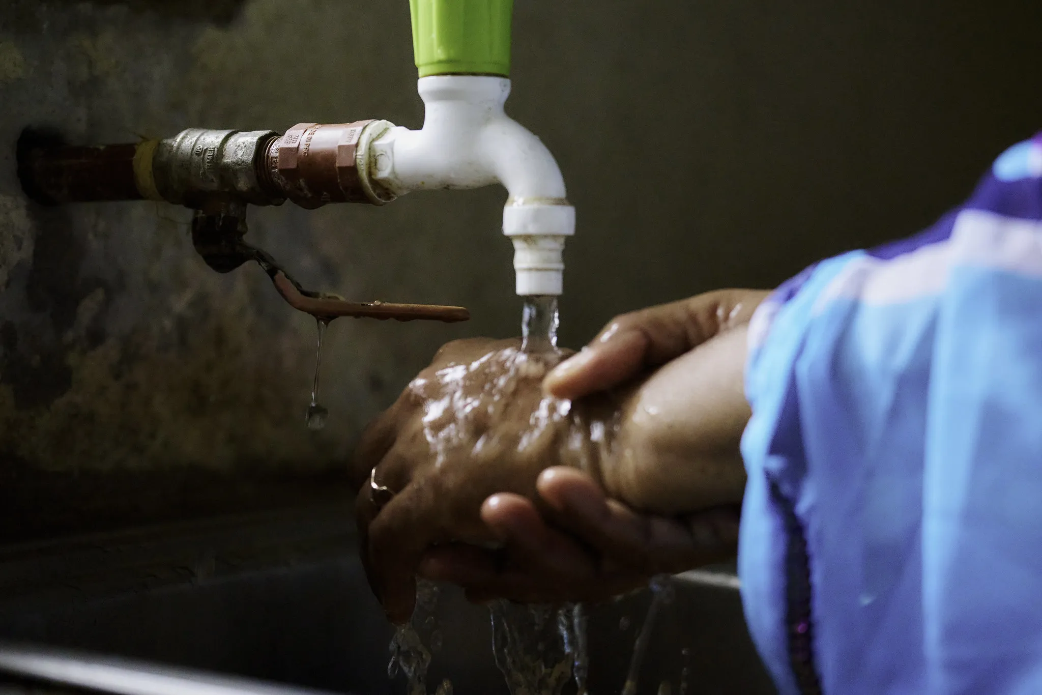 54820618178_02701a2858_k