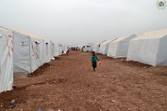 the-biggest-refugee-camps-are-in-kenya-why icon