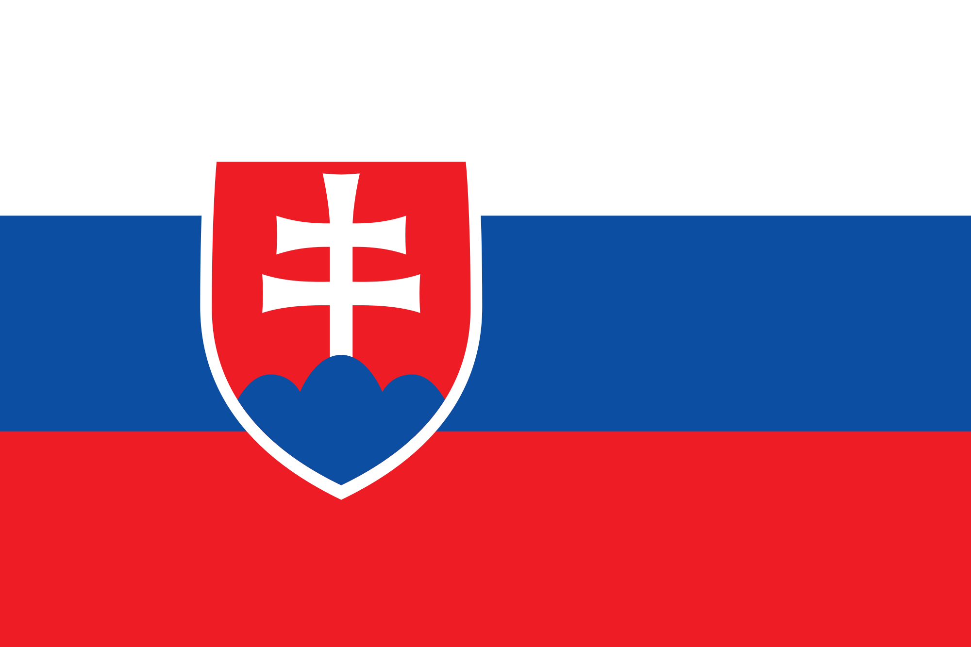 how-can-we-support-leadership-in-slovakia icon