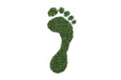 what-is-a-carbon-footprint icon