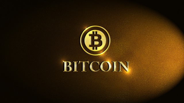 bitcoin-or-not-bitcoin icon