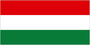 how-can-we-support-leadership-in-hungary icon
