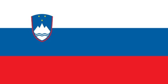 challenges-to-civil-society-leadership-in-slovenia icon
