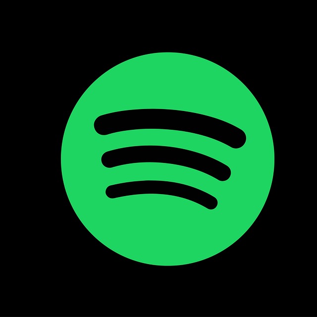 have-online-streaming-services-like-spotify-reduce icon