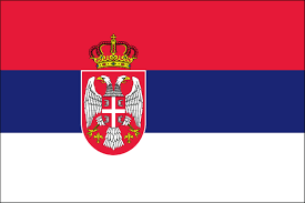 how-can-we-support-leadership-in-serbia icon
